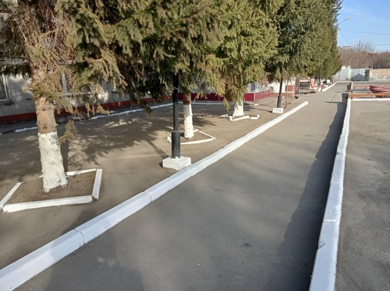 Почему в СССР белили деревья и бордюры. Военное изобретение и никакого отношения к эстетике - «Клуб - Юмора»