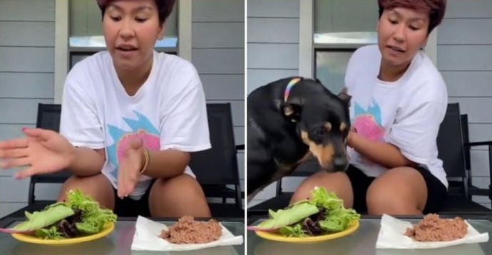 Женщина решила доказать, что её собака является вегетарианцем - «Клуб - Юмора»