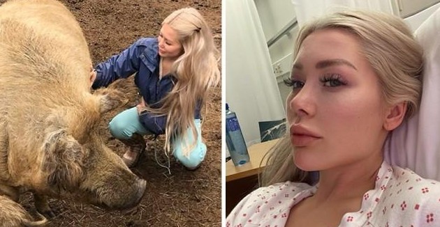 Норвежская блогерша едва не погибла во время селфи с домашней свиньей - «Клуб - Юмора»