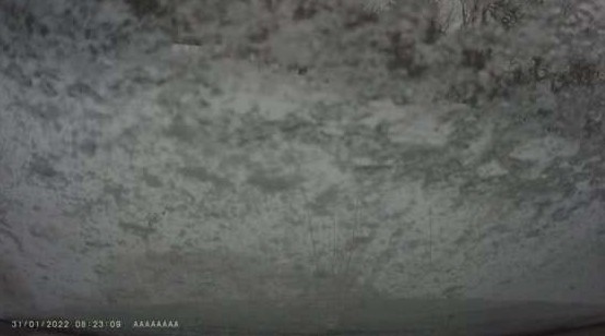 «Резина хорошая, второй сезон»: водитель «Лексуса» улетел в сугроб под Самарой (4 фото + 1 видео) - «Клуб - Юмора»