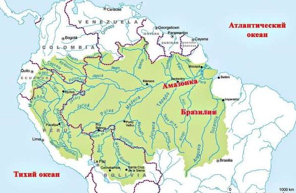 На столько ли опасна самая длинная река в мире Амазонка - «Клуб - Юмора»