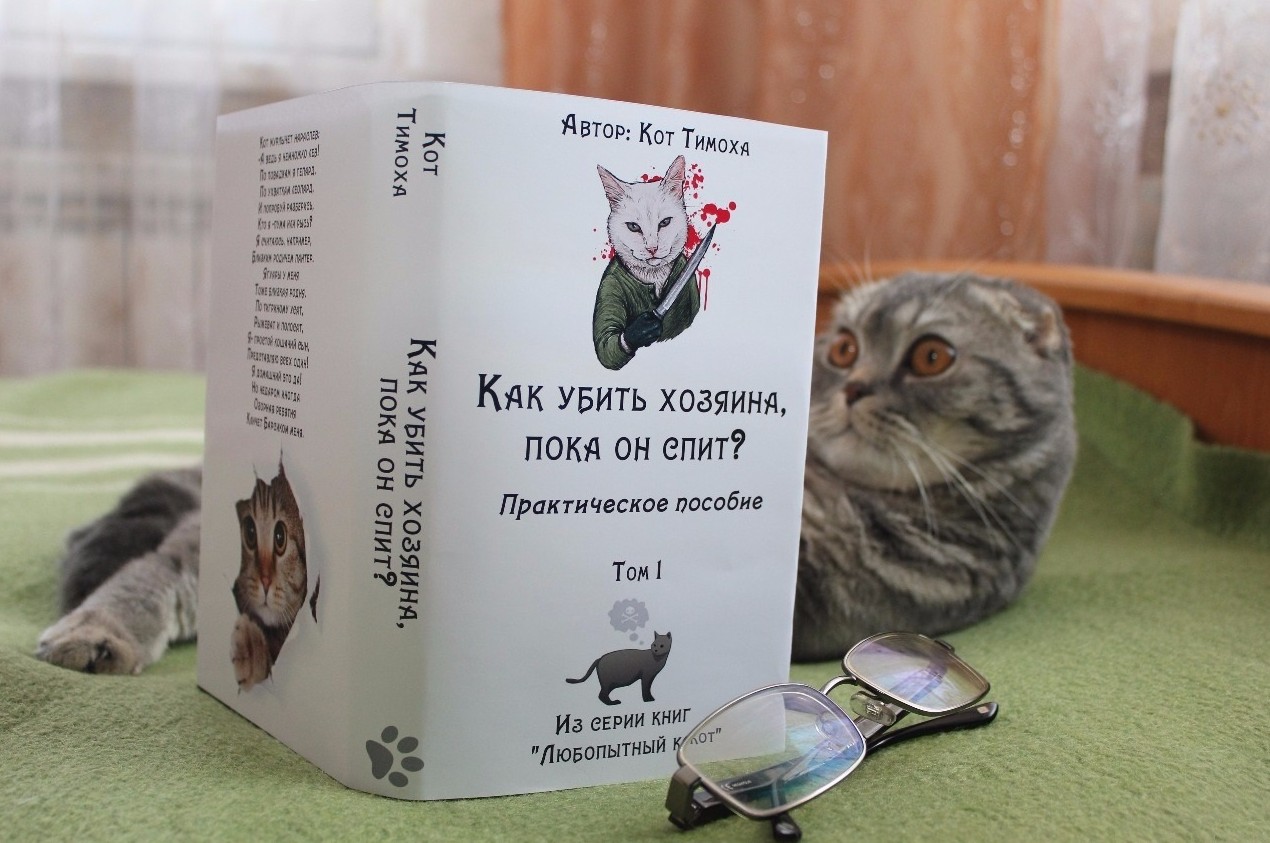 Кошка заперла в ванной собственную хозяйку. Ее пришлось вызволять спасателям - «Клуб - Юмора»