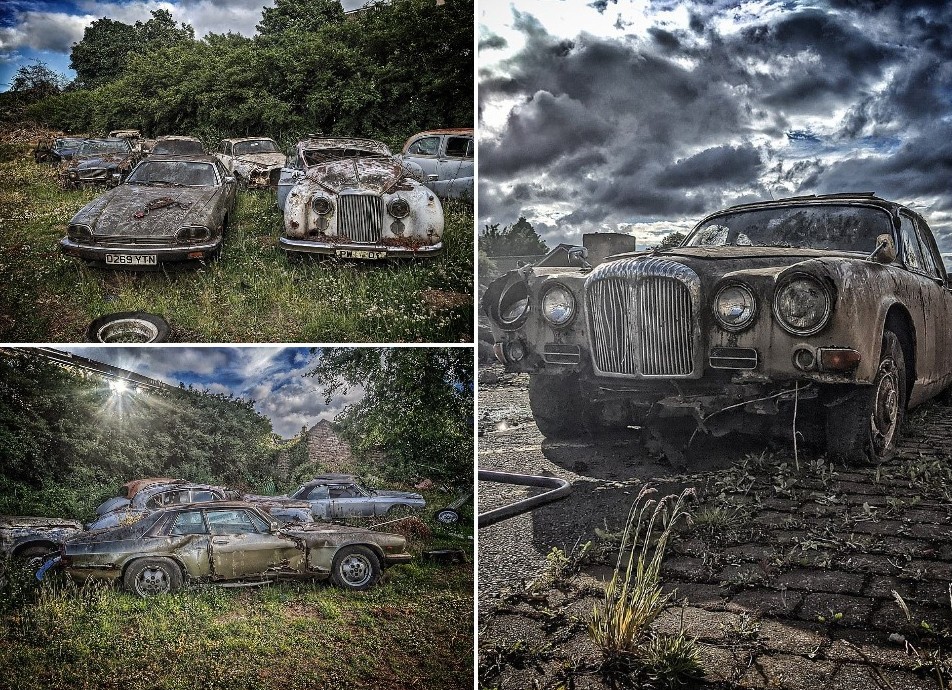 Городской исследователь обнаружил загадочное кладбище классических автомобилей в Шотландии - «Клуб - Юмора»