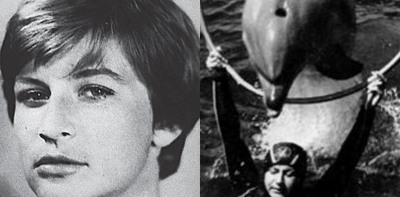 Как дочь контрразведчика стала дрессировщицей особых дельфинов - «Клуб - Юмора»