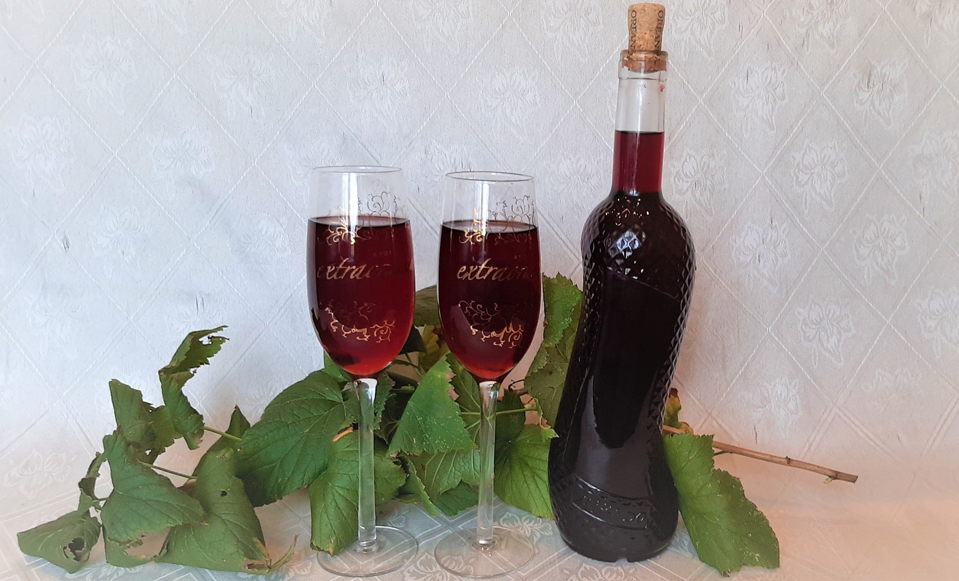 Вино из красной смородины - «Клуб - Юмора»