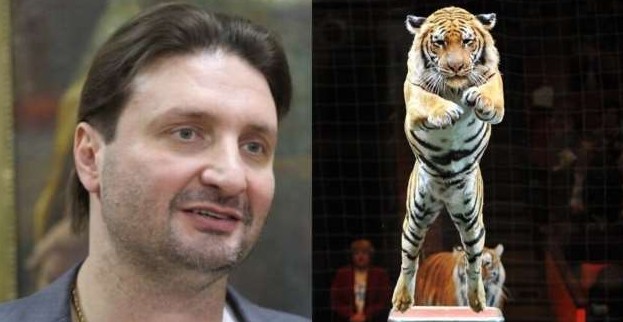 Дрессировщик Запашный показал, во что тигр превратил его лицо после удара лапой - «Клуб - Юмора»