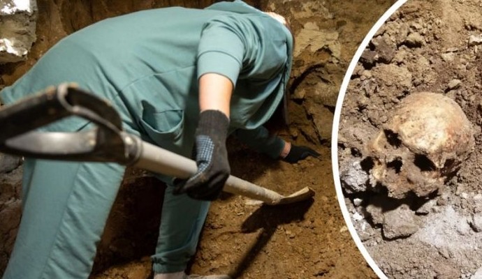 Девушка нашла человеческие кости в своем подвале. В полиции ей предложили копать дальше - «Клуб - Юмора»