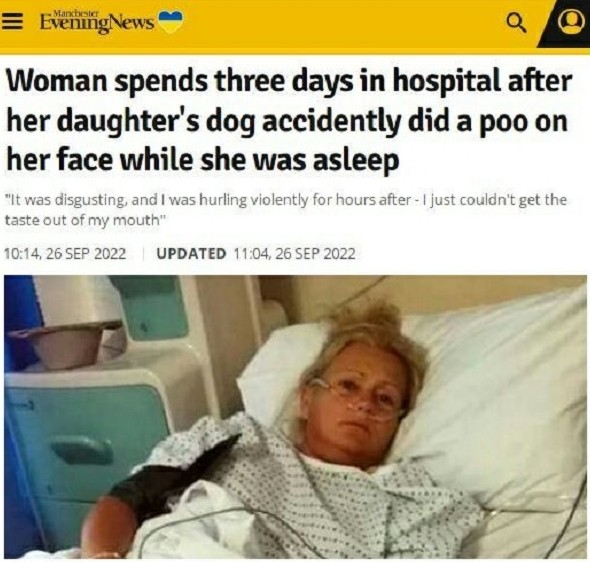 Женщину госпитализировали после того, как собака случайно наложило ей на лицо и в рот, когда та спала - «Клуб - Юмора»