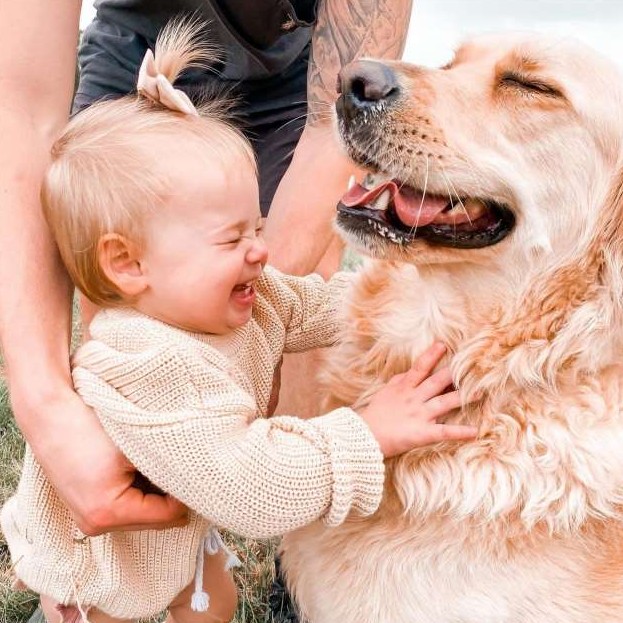Дружба маленькой девочки и её большой собаки - «Клуб - Юмора»