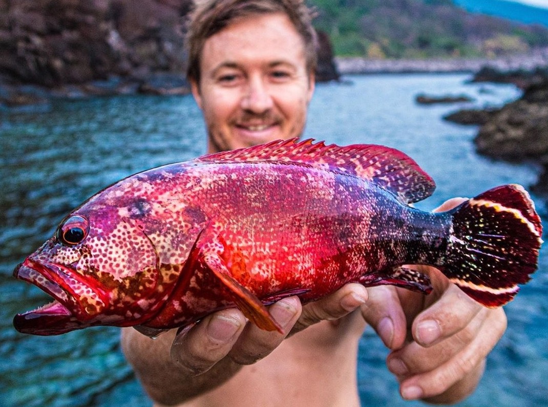 Цветные рыбы - «Клуб - Юмора»