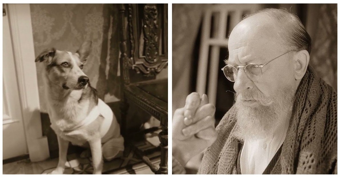 Секреты фильма «Собачье сердце» - «Клуб - Юмора»