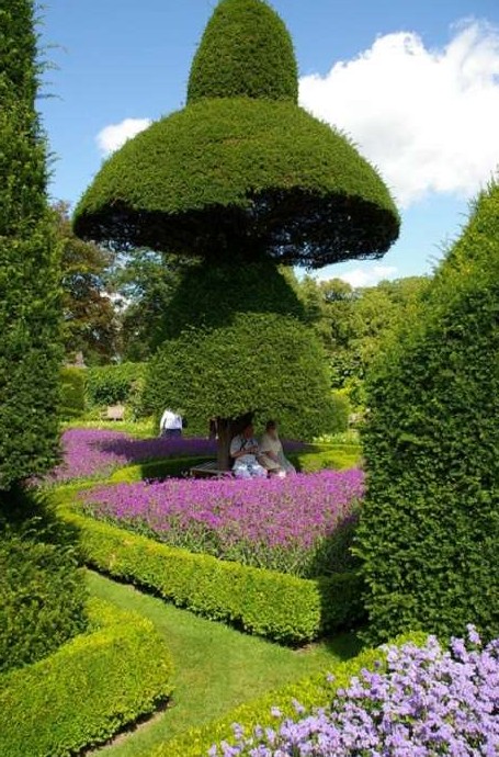 Чудо-сад: как создавались сюрреалистичные изваяния в красивейшем парке Англии - «Клуб - Юмора»