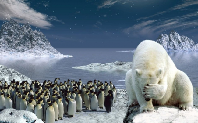 Почему Арктика теплее Антарктики - «Клуб - Юмора»