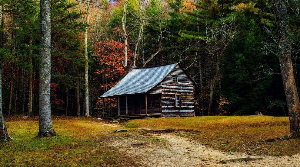 Комендант Освенцима 15 лет скрывался в лесу - «Клуб - Юмора»
