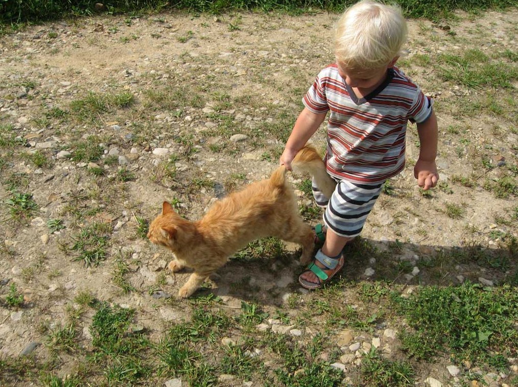 Кисоньке больно - «Клуб - Юмора»