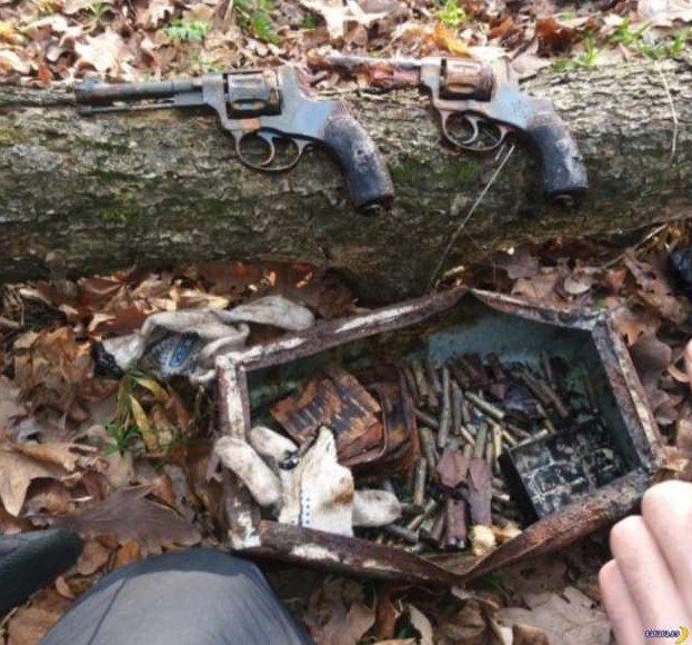 В лесу нашли два револьвера и патроны - «Клуб - Юмора»