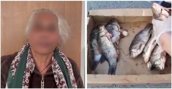 Полиция задержала 70-летнюю бабушку, которая везла наркотики в карасях - «Клуб - Юмора»