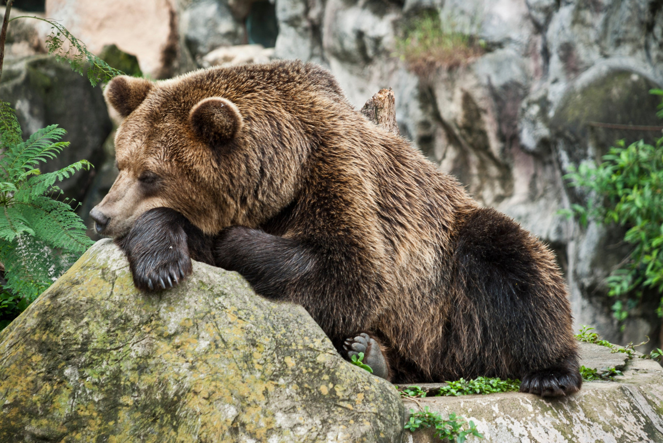 Человека можно погрузить в спячку - «Клуб - Юмора»