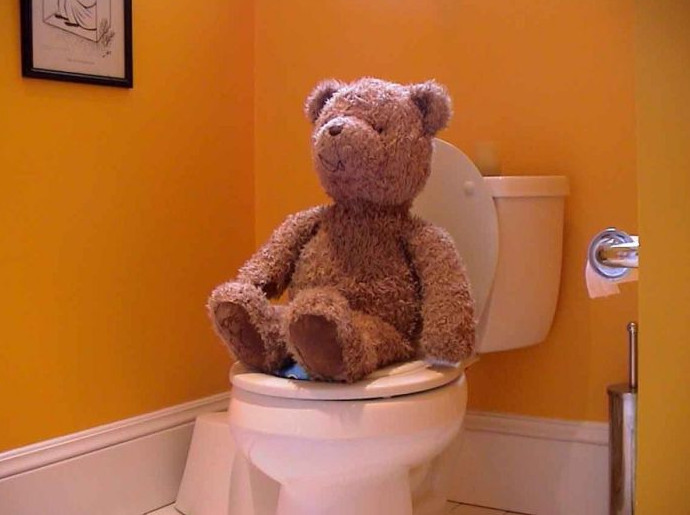 Как медведи ходят в туалет во время спячки - «Клуб - Юмора»
