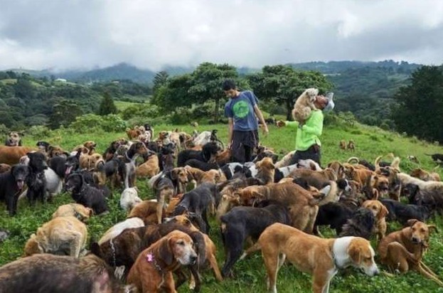 Снимки от работников приютов, которые помогают животным - «Клуб - Юмора»