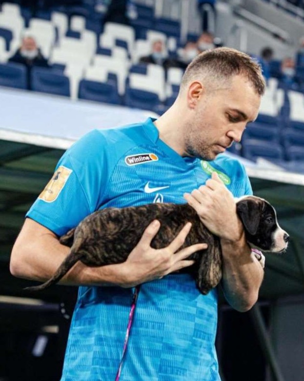 Футболисты «Зенита» вышли на поле с собаками - «Клуб - Юмора»