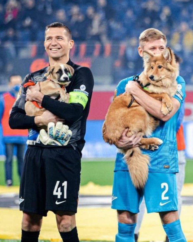 Футболисты «Зенита» вышли на поле с собаками - «Клуб - Юмора»