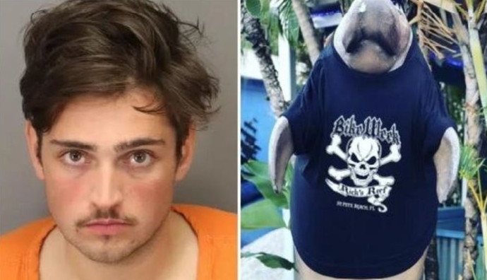 Турист изнасиловал статую ламантина во Флориде - «Клуб - Юмора»