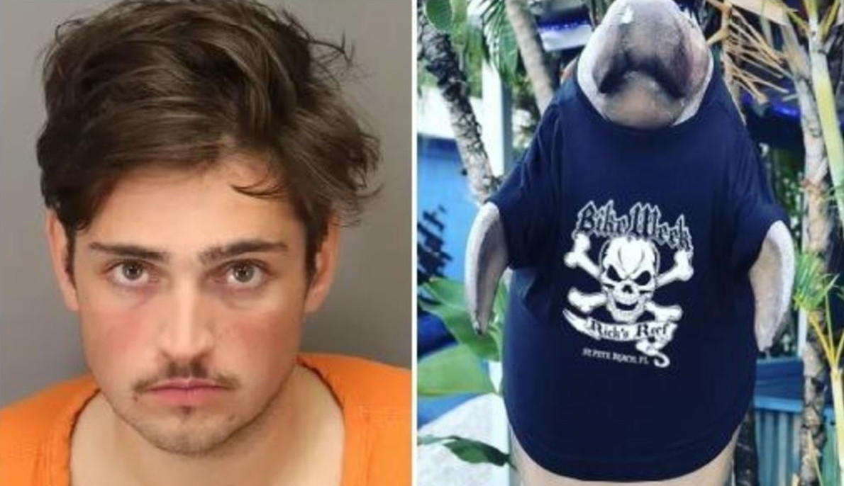 Турист изнасиловал статую ламантина во Флориде - «Клуб - Юмора»