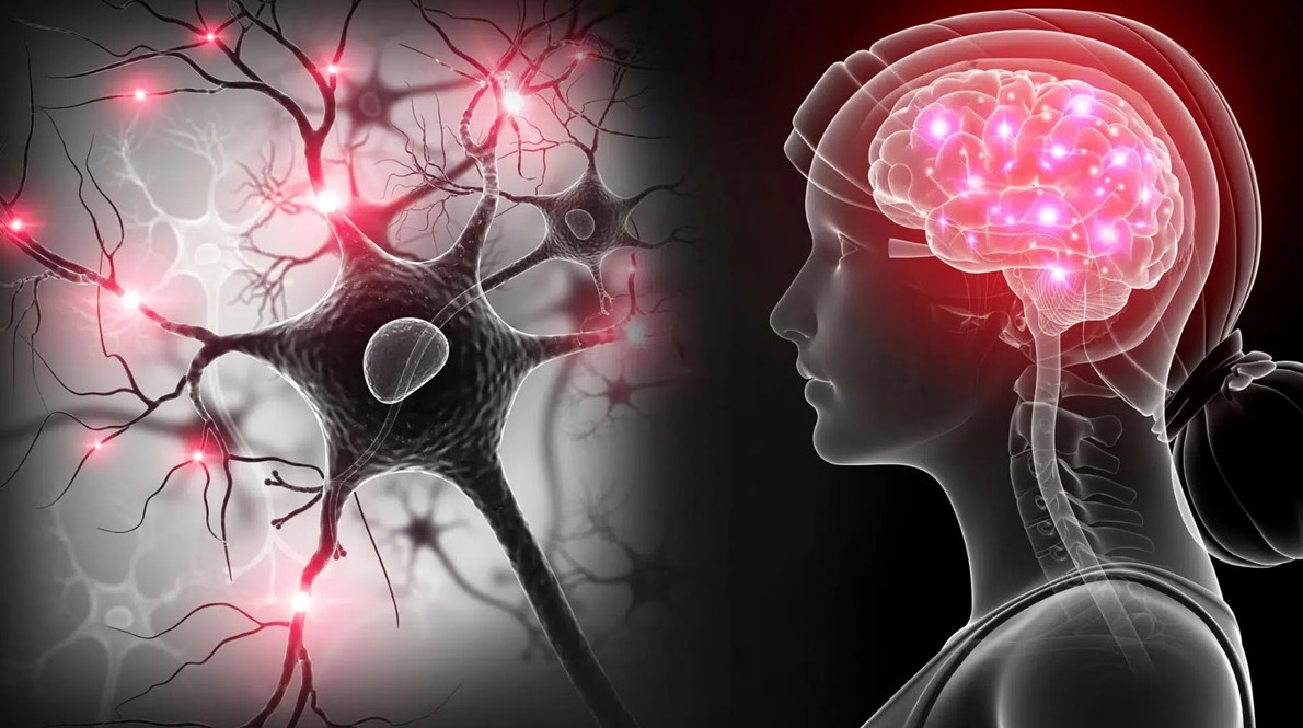 Правда ли, что нервные клетки не восстанавливаются - «Клуб - Юмора»