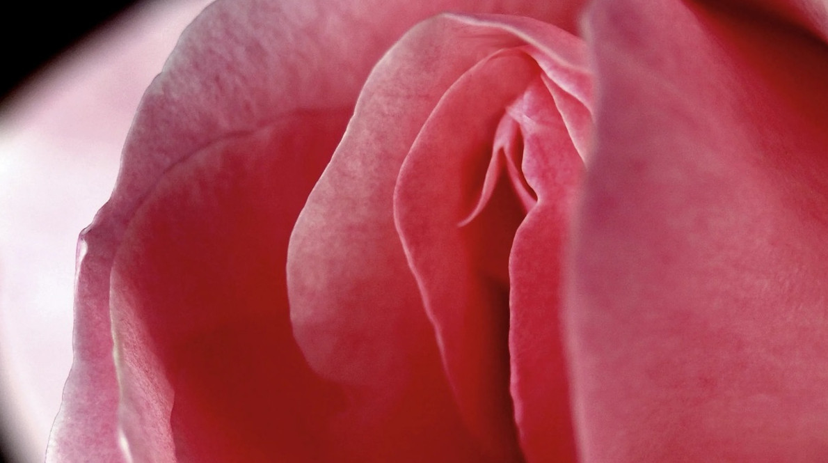 Клитор: правда и ложь - «Клуб - Юмора»