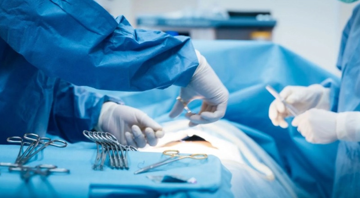 В Китае пациенту впервые в мире успешно пересадили печень свиньи - «Клуб - Юмора»