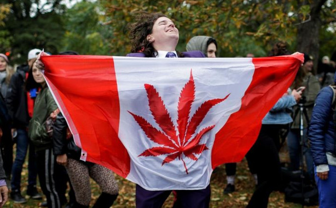 На долю курильщиков марихуаны пришлось 43% нетрезвых водителей в Канаде - «Клуб - Юмора»