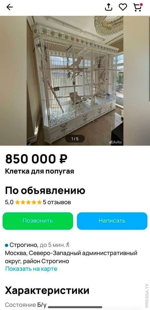 В Москве продают клетку для попугая за 850 тысяч рублей №50371022032024 - «Клуб - Юмора»