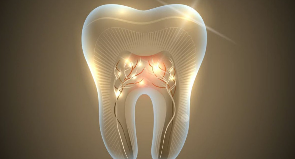 Скоро люди получат первый в мире препарат для роста зубов - «Клуб - Юмора»
