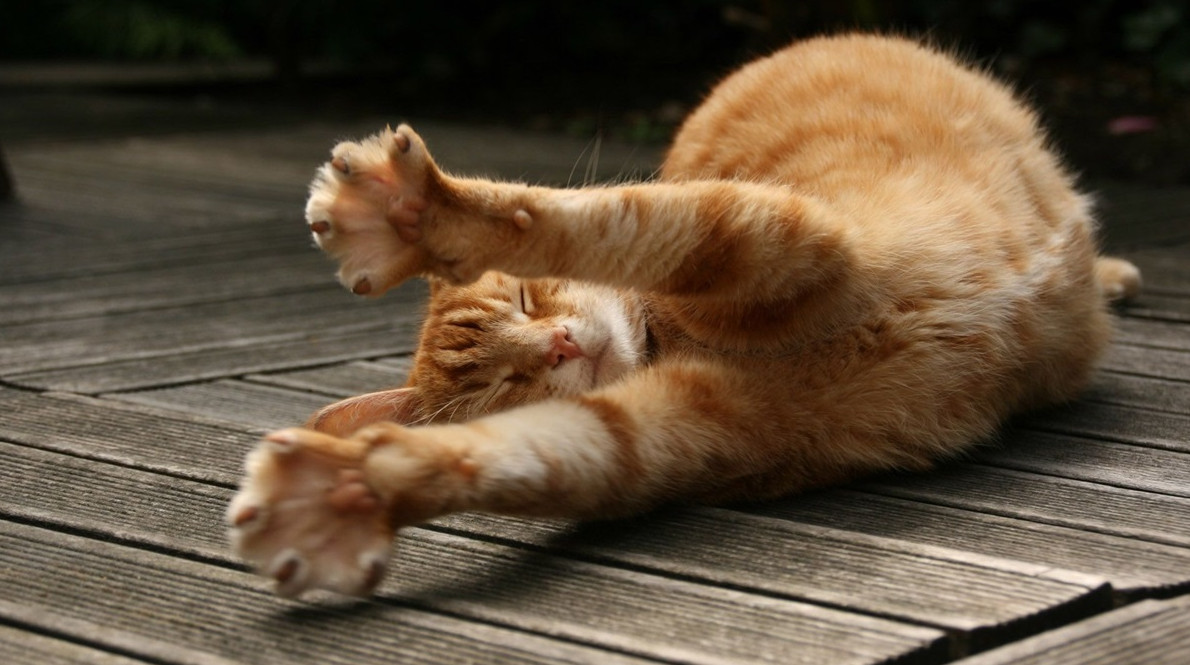 Как быстрее настроиться на рабочую неделю после выходных - «Клуб - Юмора»