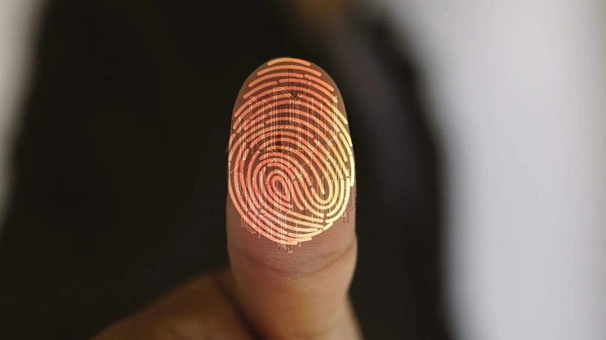 Почему у всех людей разные отпечатки пальцев - «Клуб - Юмора»