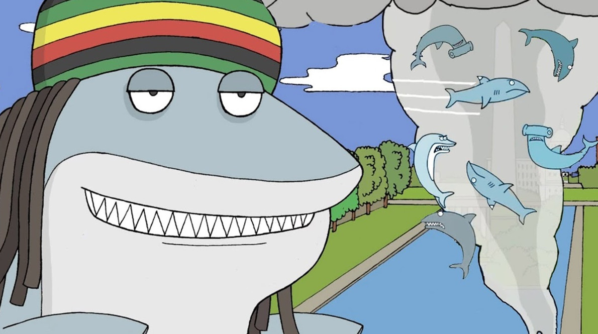 Акулы дали положительный результат на кокаин в водах Бразилии - «Клуб - Юмора»