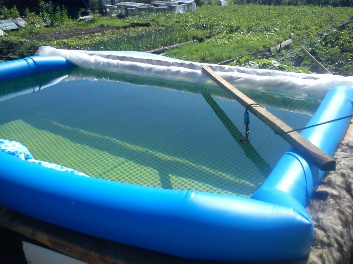 Пенсионер погиб из-за кипятильника в бассейне - «Клуб - Юмора»