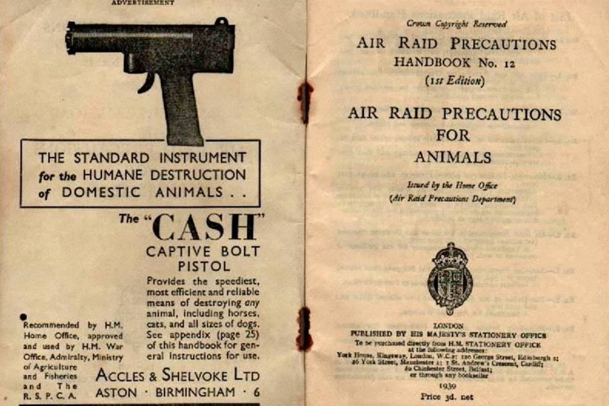 Интересная история о «нормальной» стране - «Клуб - Юмора»