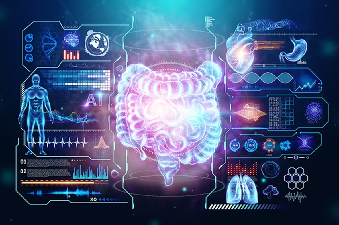 Как устроен процесс пищеварения — от «А» до «Я» - «Клуб - Юмора»