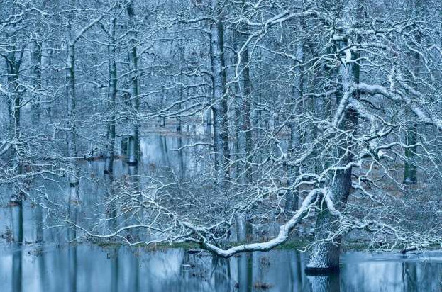 Победители фотоконкурса GDT Nature Photographer Of The Year 2024 - «Клуб - Юмора»