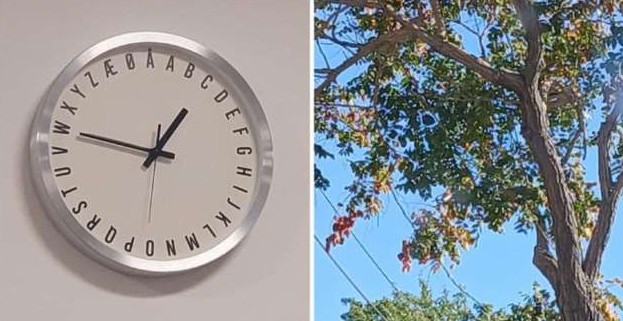 15 случаев, когда люди натыкались на буквы там, где меньше всего ожидали их увидеть (15 фото) - «Клуб - Юмора»