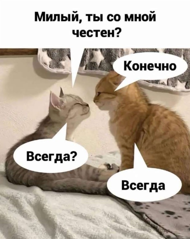 Честность №41220703092025 - «Клуб - Юмора»