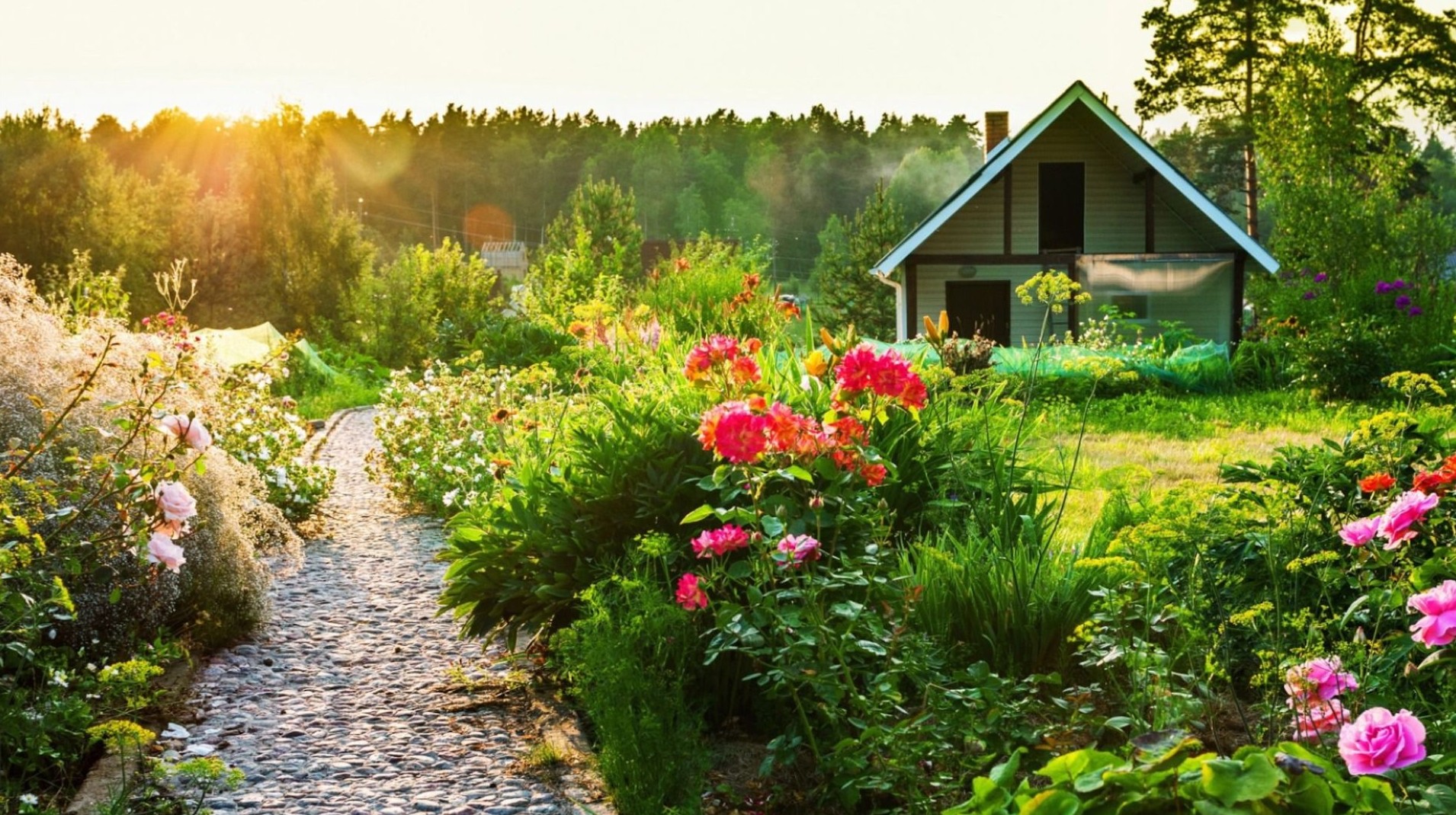 Как выбрать и купить дачу в Искитиме для отдыха и уединения с природой - «Клуб - Юмора»